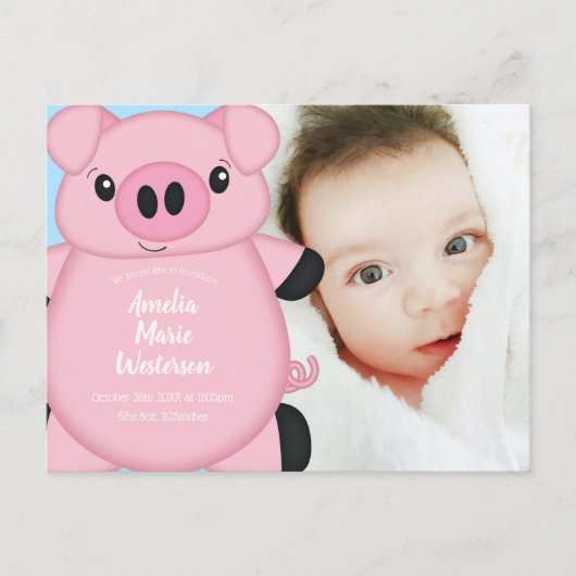 Pig Baby Dusche Farm Blue Boy Postkarte (Vorderseite)
