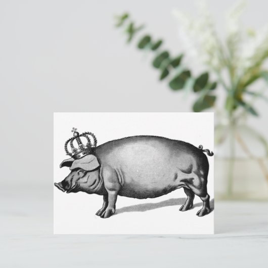 Pig Crown Royal Queen Big Piggy Postkarte (Stehend Vorderseite)