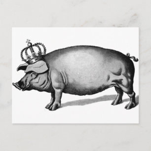 Pig Crown Royal Queen Big Piggy Postkarte