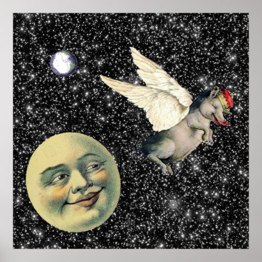 Pig Dreams Poster (Vorne)