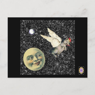 Pig Dreams Postkarte