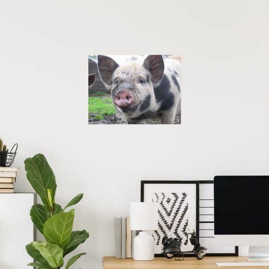 Pig Face Poster (Heimbüro)