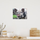 Pig Face Poster (Küche)