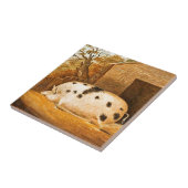 Pig Gepunktet Hog Vintage Bauernhöfe Malerei Fliese (Seite)