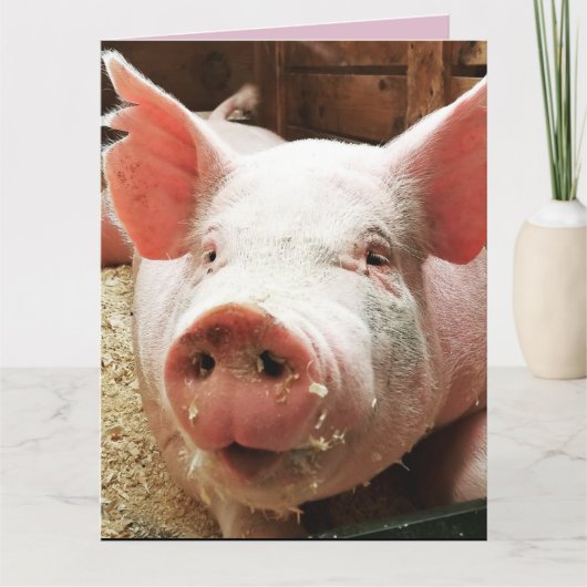 PIG HOG FUNNY BIRTHDAY CARD CARDS KARTE (Vorderseite)