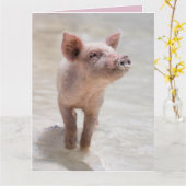 PIG HOG FUNNY BIRTHDAY CARD CARDS KARTE (Gelbe Blume)