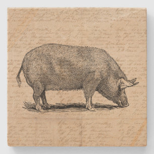 Pig Illustration Antique Art Script Stil Steinuntersetzer
