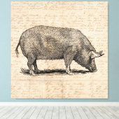 Pig Illustration Stil antiker Art Script Leinwanddruck (Insitu (Holzboden))