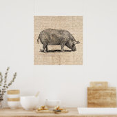 Pig Illustration Stil antiker Art Script Poster (Küche)