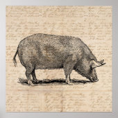 Pig Illustration Stil antiker Art Script Poster (Vorne)