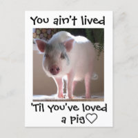 Pig lovin'