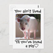 Pig lovin' postkarte (Vorne/Hinten)