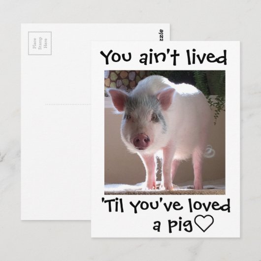 Pig lovin' postkarte (Vorne/Hinten)