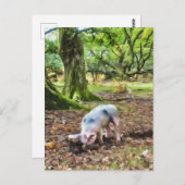 Pig Oil Painting Style Postkarte (Vorne/Hinten)