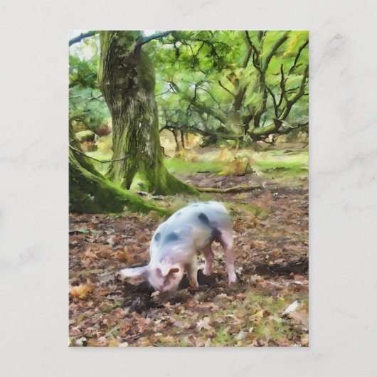 Pig Oil Painting Style Postkarte (Vorderseite)