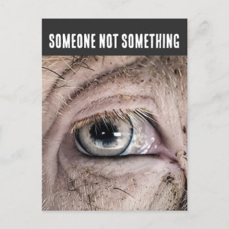 PIG Postcard, SOMEONE NOT SOMETHING Postkarte