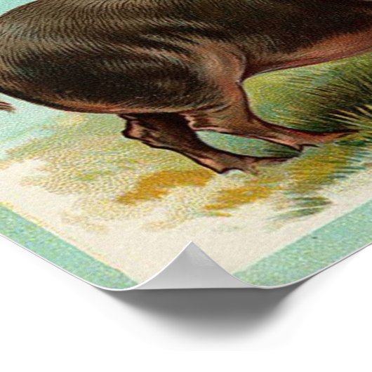 Pig Poster - Vintage Kunst (Ecke)