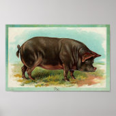 Pig Poster - Vintage Kunst (Vorne)