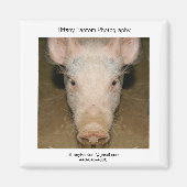 Pig Promo Piece Magnet (Vorne)