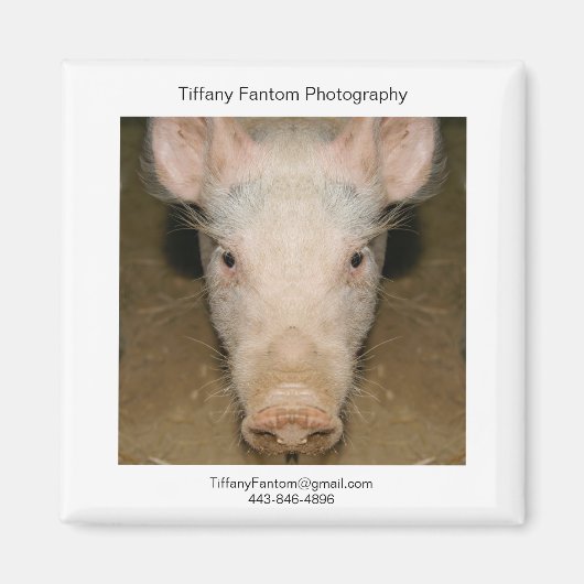 Pig Promo Piece Magnet (Vorne)