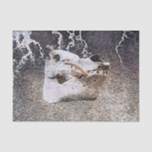 Pig Skull Graue Vintage Farm Textur Decoupage