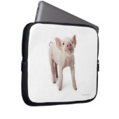 Pig Stehend nachsehen Laptopschutzhülle (Vorne Rechts)