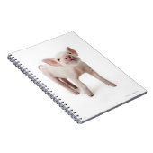 Pig Stehend nachsehen Notizblock (Rechte Seite)