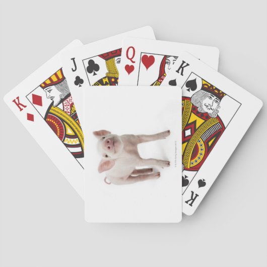 Pig Stehend nachsehen Spielkarten (Rückseite)