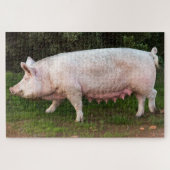 Pig Teats Funny Foto Puzzle (Horizontal)
