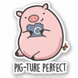 Pig-ture Perfect Funny Fotografy Pig Pun Aufkleber