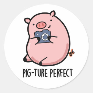 Pig-ture Perfect Funny Fotografy Pig Pun Runder Aufkleber