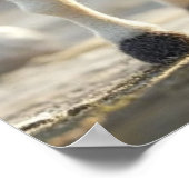 Pig und seine Steppe: Reise durch Whimsy Poster (Ecke)