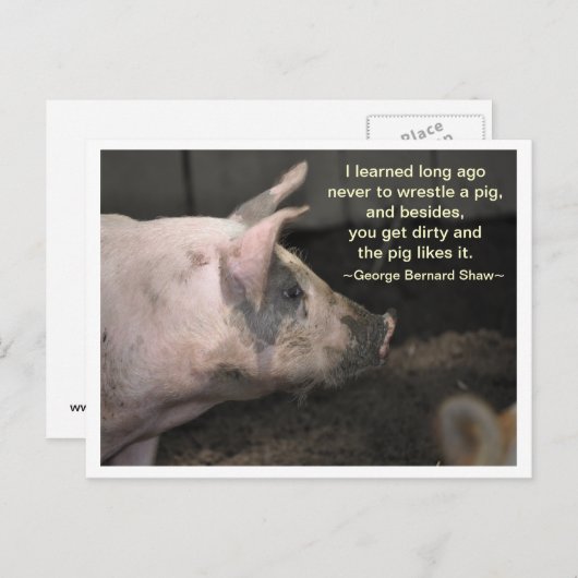 Pig Wisdom - ringen Postkarte (Vorne/Hinten)