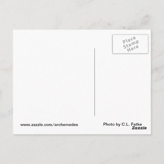 Pig Wisdom - ringen Postkarte (Rückseite)