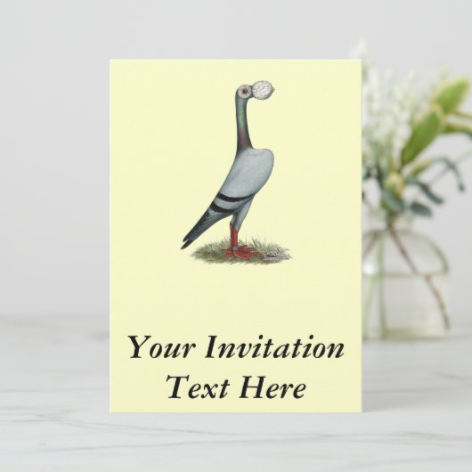 Pigeon 2012 einladung (Stehend Vorderseite)