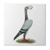 Pigeon 2012 fliese (Vorderseite)