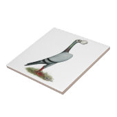 Pigeon 2012 fliese (Seite)