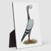 Pigeon 2012 fotoplatte (Seite)