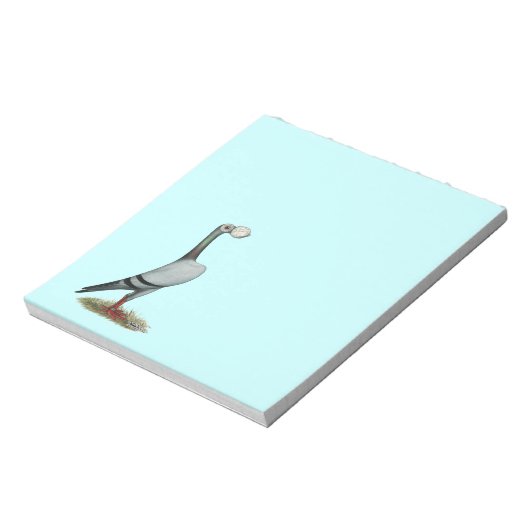 Pigeon 2012 notizblock (Rotiert)