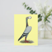 Pigeon 2012 postkarte (Stehend Vorderseite)