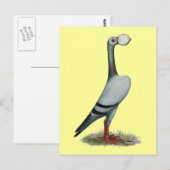 Pigeon 2012 postkarte (Vorne/Hinten)