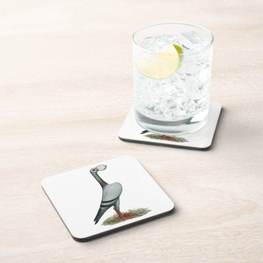 Pigeon 2012 untersetzer (Rechte Seite)