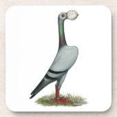 Pigeon 2012 untersetzer (Vorderseite)