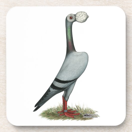 Pigeon 2012 untersetzer (Vorderseite)