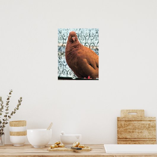 Pigeon Art Poster (Küche)
