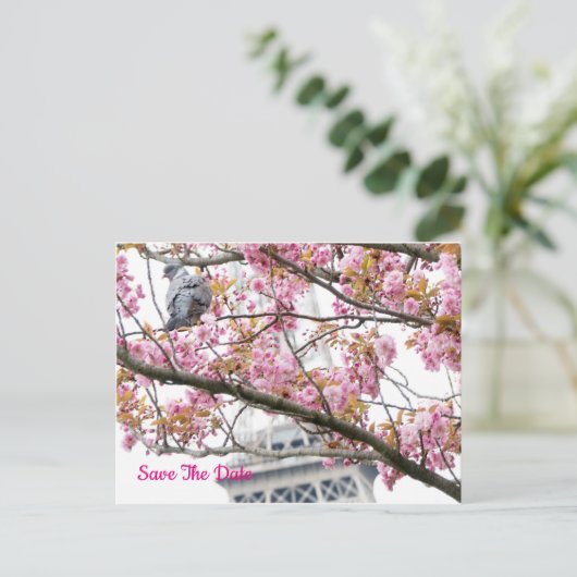 Pigeon Bird Eiffel Save the Date Tower Postcard Postkarte (Stehend Vorderseite)