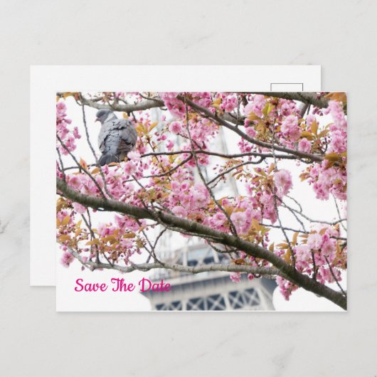 Pigeon Bird Eiffel Save the Date Tower Postcard Postkarte (Vorne/Hinten)