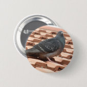 Pigeon Button (Vorne & Hinten)
