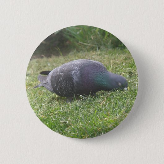 Pigeon Button (Vorderseite)