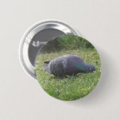 Pigeon Button (Vorne & Hinten)